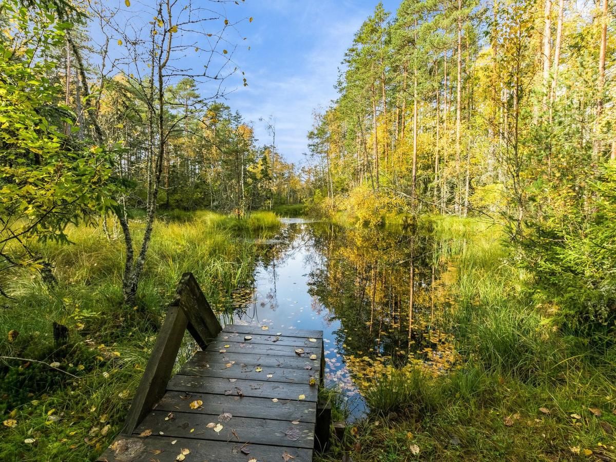 Дома для отпуска Holiday Home Kurjenrahka Tortinmäki-31